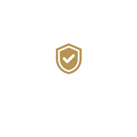 Insurance Defense Icon